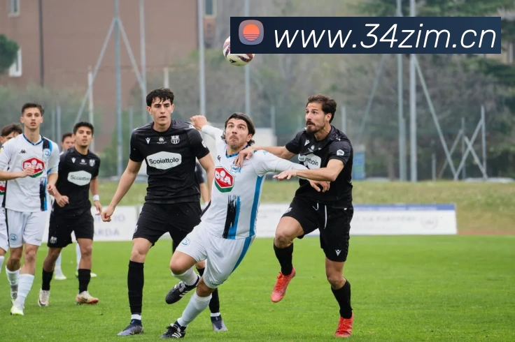 数据防护可视化